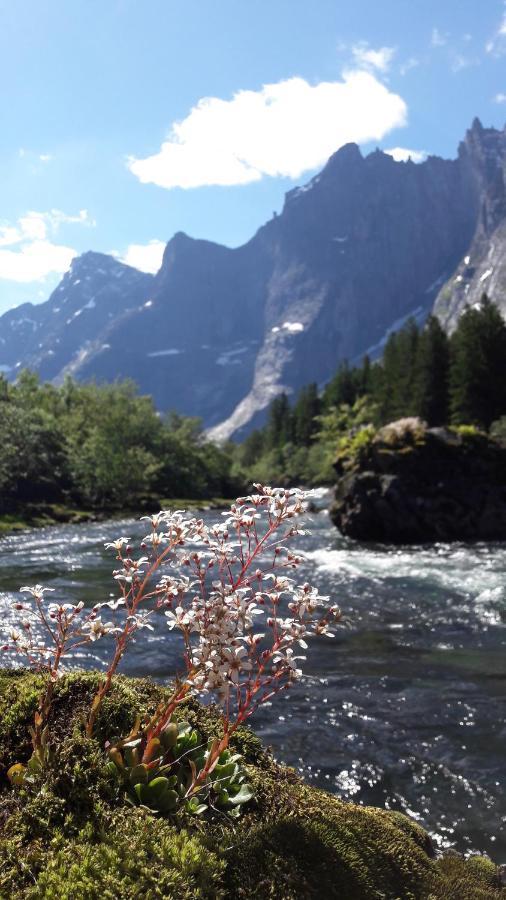 Trollveggen Camping Åndalsnes المظهر الخارجي الصورة